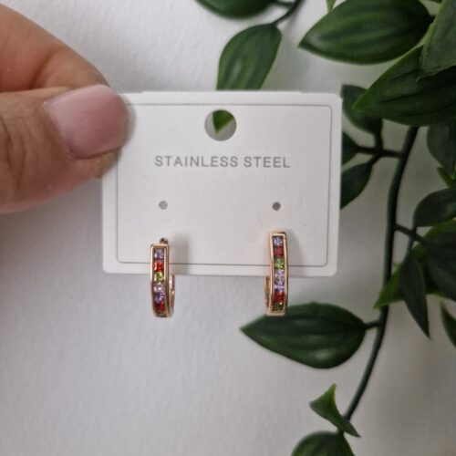 Multicoloured Earrings