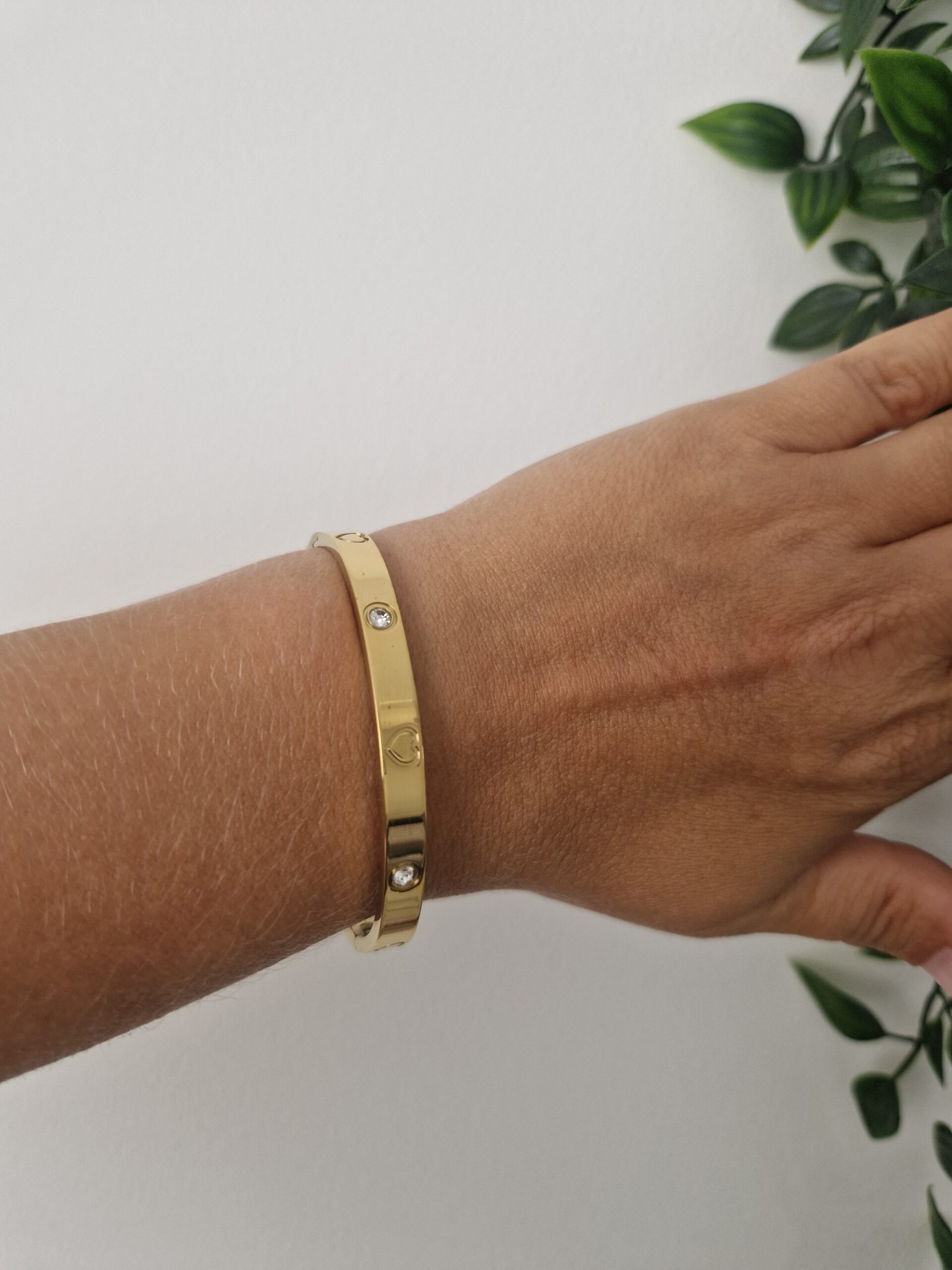 Heart Zirconia Bangle